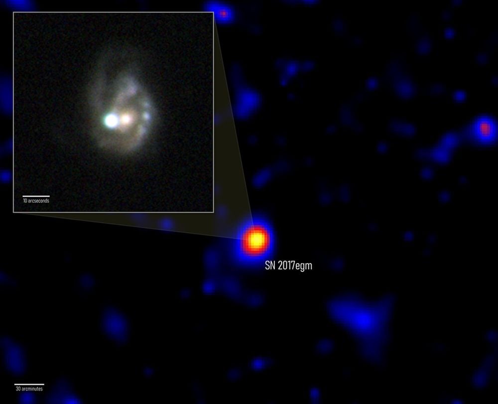 This composite image shows two views of SN 2017egm. The inset image shows it in visible light, and the main image shows it in gamma rays. The optical image shows the supernova — the brightest object in the scene — and its host galaxy on July 1, 2017. The background image shows a wide area of the sky surrounding the supernova. Brighter colors indicate greater statistical likelihood that gamma rays are associated with the explosion. The map includes gamma rays detected by Fermi’s Large Area Telescope from July 5, 2017, to Oct. 25, 2017, or from 43 to 155 days after the supernova was discovered. Image Credit: Background, NASA/DOE/Fermi LAT Collaboration and Acero et. al. 2026; inset, NOT+ALFSOC/Bose et al. 2020