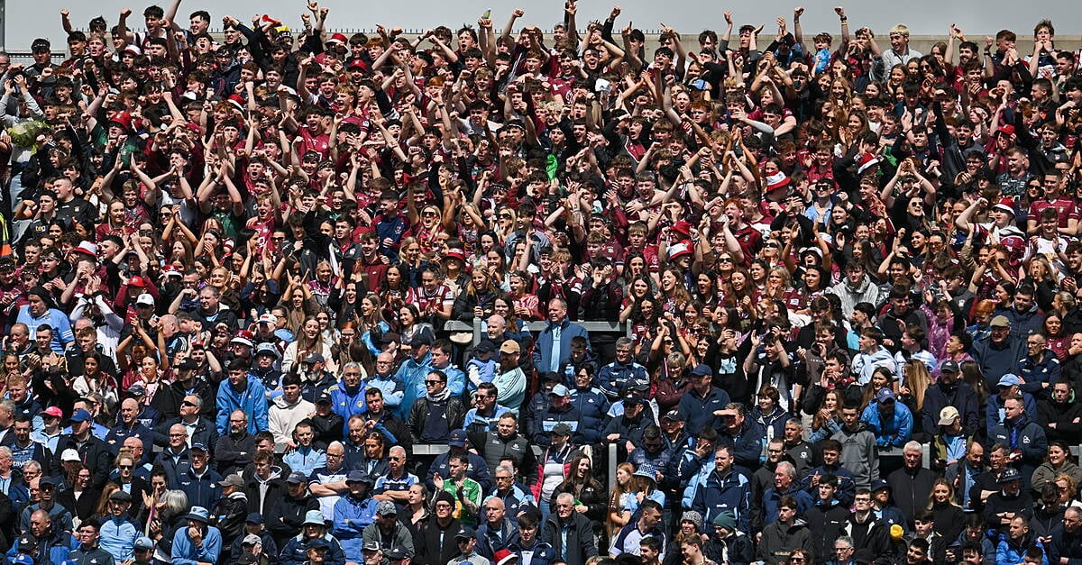 The Disappointing Decline Of The Dublin Fanbase On Display At The Leinster Final