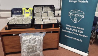 Two people arrested over seizure of drugs worth €620k at Shannon Airport
