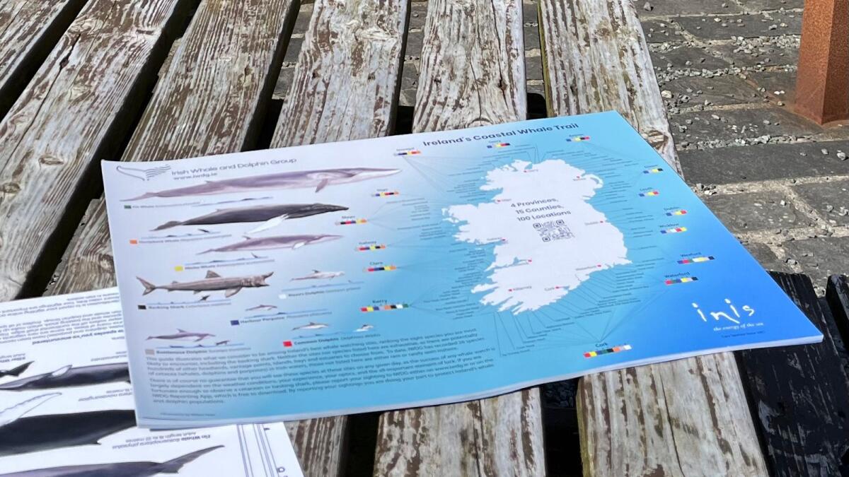 Whale-watching events to take place at two Mayo locations
