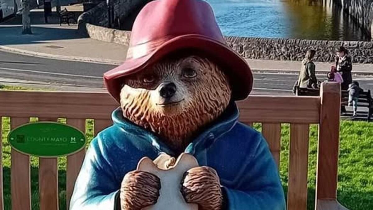 Mayo’s favourite bear taking a little break