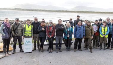 Whale watching, bat walks and nature trails are all part of Biodiversity Week in Sligo