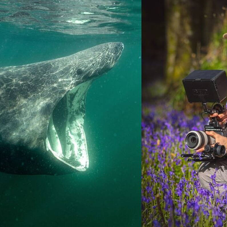 Wildlife filmmaker from Ballinasloe features on BBC Springwatch