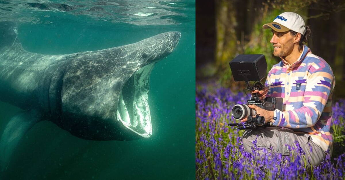 Wildlife filmmaker from Ballinasloe features on BBC Springwatch