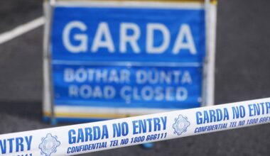 Woman (20s) dies in Tipperary collision