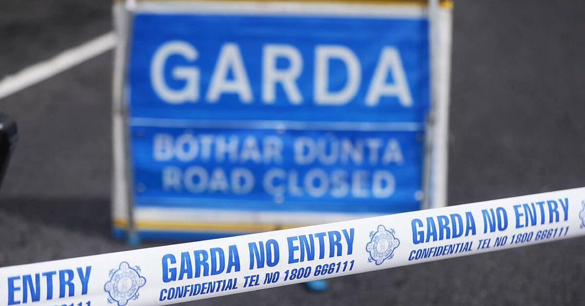 Woman (20s) dies in Tipperary collision