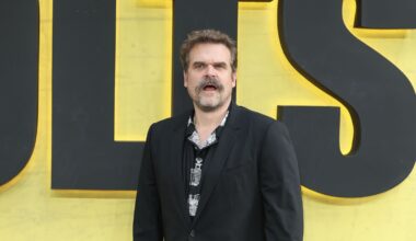 David Harbour responds to Lily Allen album