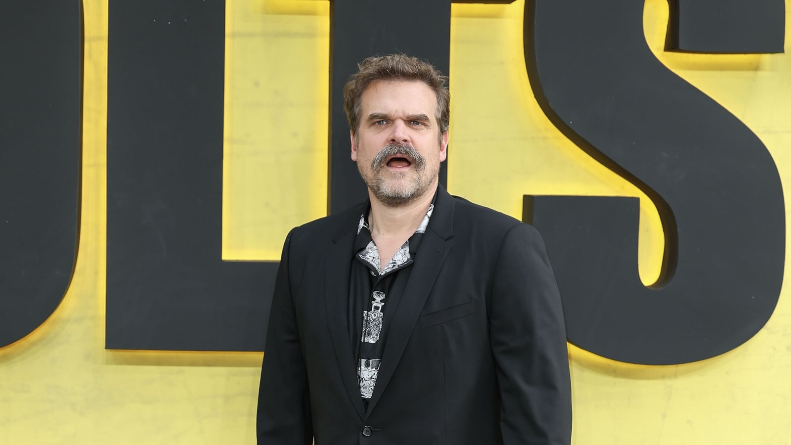 David Harbour responds to Lily Allen album