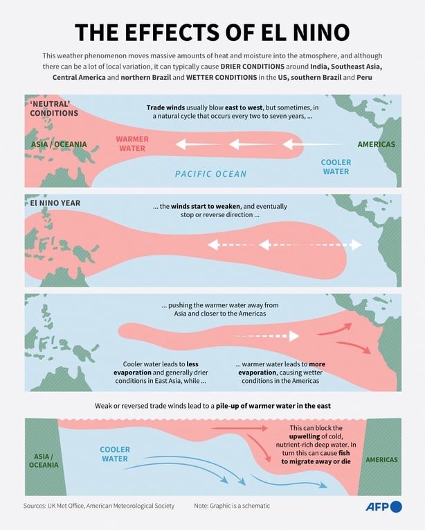Infographic explainer on the El Nino weather phenomenon