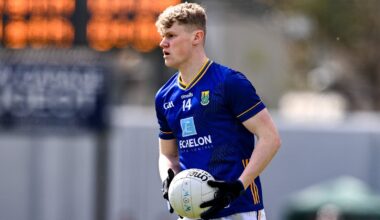 Wicklow step on the gas to reach Tailteann last eight