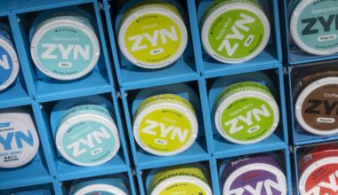 Experts raise concerns over increased snus use in Ireland