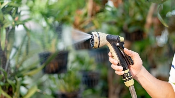 a man uses a hosepipe to water plants in a garden