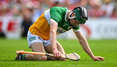 GAA president believes hurling could take 20 years to fix