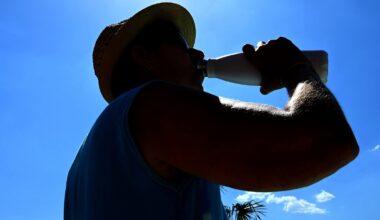 Heatwave-hit Europe must adapt healthcare