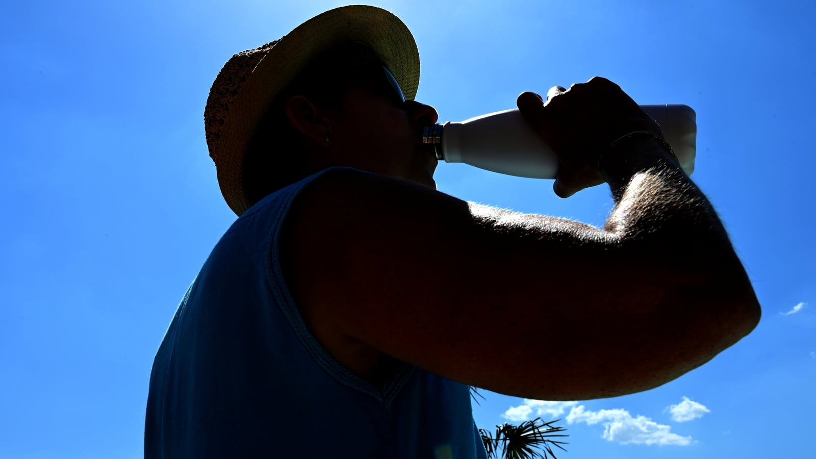 Heatwave-hit Europe must adapt healthcare