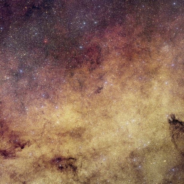 Euclid's view of the Milky Way's bulge (Photo: ©ESA)