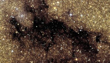 Euclid captures most detailed photo of Milky Way yet