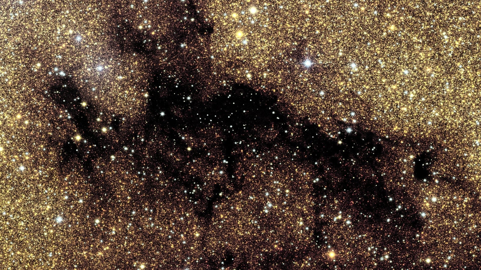 Euclid captures most detailed photo of Milky Way yet