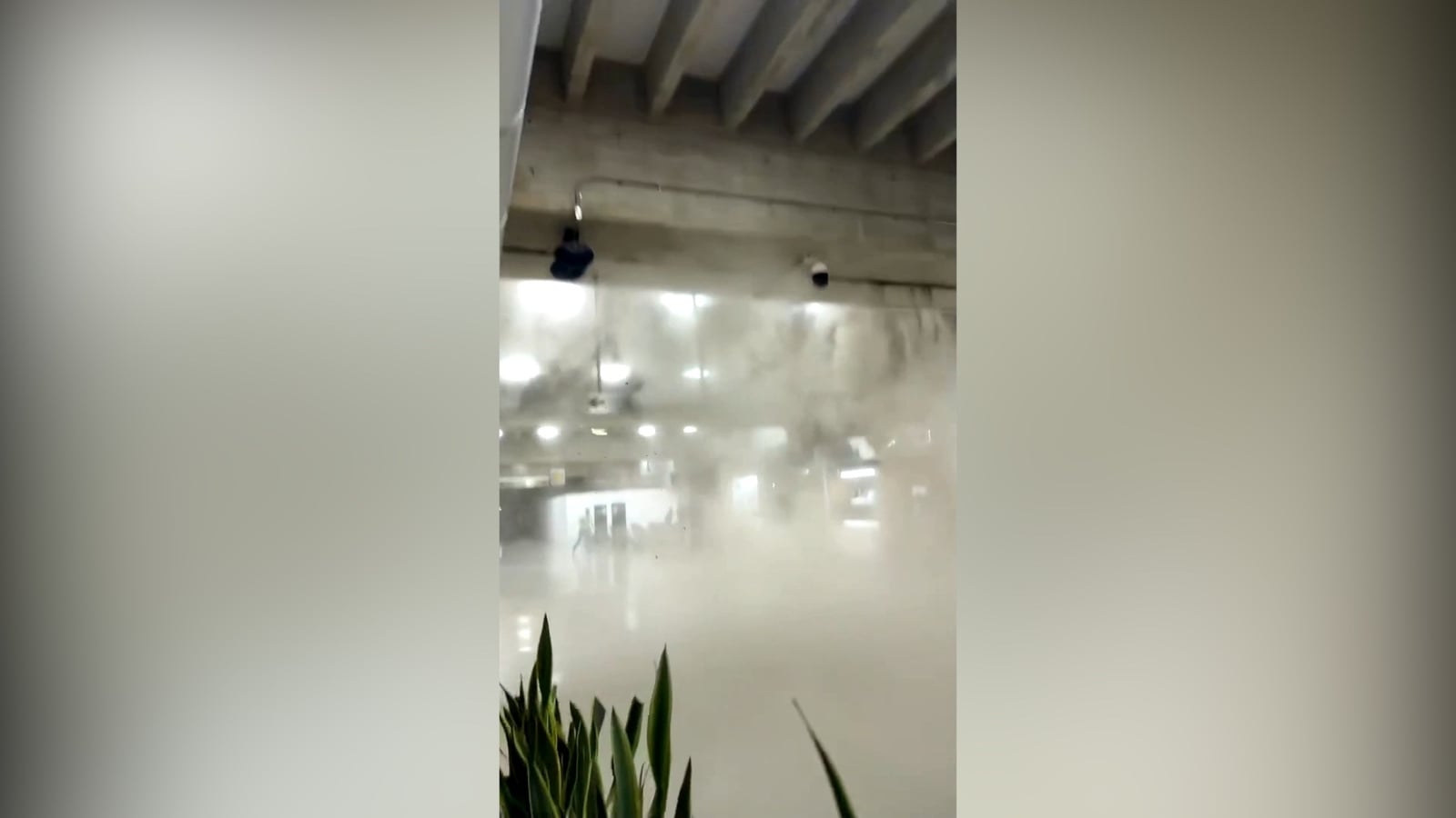 Eyewitness footage captures moment Venezuela quake struck