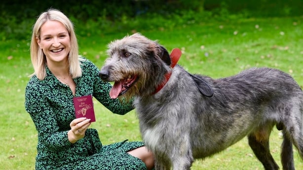 Minister for Foreign Affairs Helen McEntee pictured with a mock-up passport and an Irish wolfhound