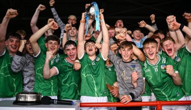Minor glory for Limerick as Tipp denied by late flurry