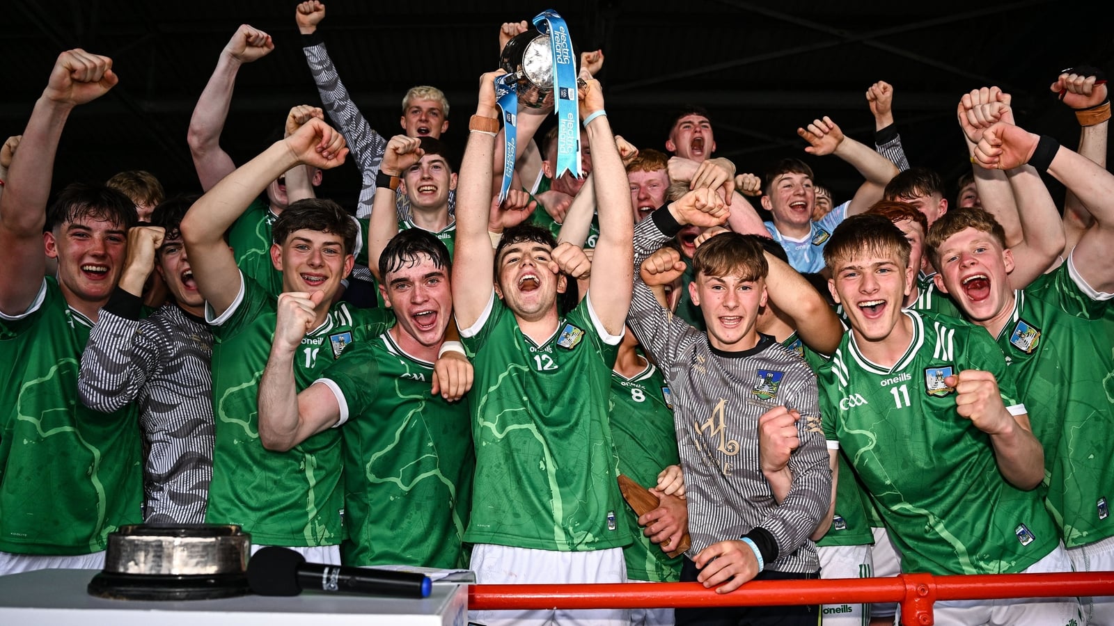 Minor glory for Limerick as Tipp denied by late flurry