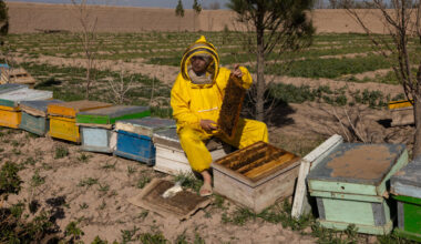 The Women Running Businesses Under Taliban Rules