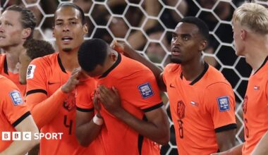 Netherlands players embrace Cody Gakpo after he scores against Morocco