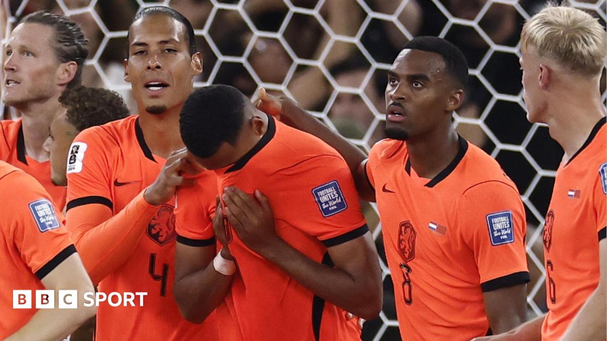 Netherlands players embrace Cody Gakpo after he scores against Morocco