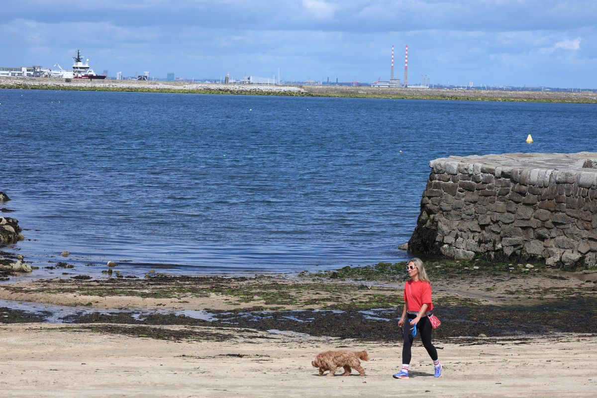 June 2026 - People enjoying the sunny weather at the Forty Foot in Sandycove, County Dublin.