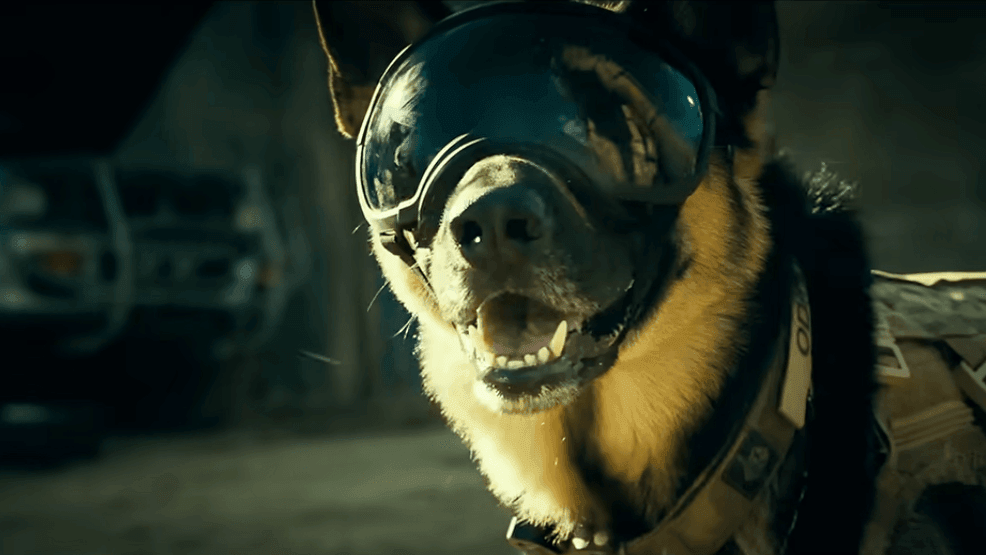 Odin is a combat veteran and a very good boy. (Courtesy: Paramount Pictures)