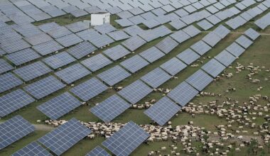 China's state subsidies up to eight times more than OECD's, report says