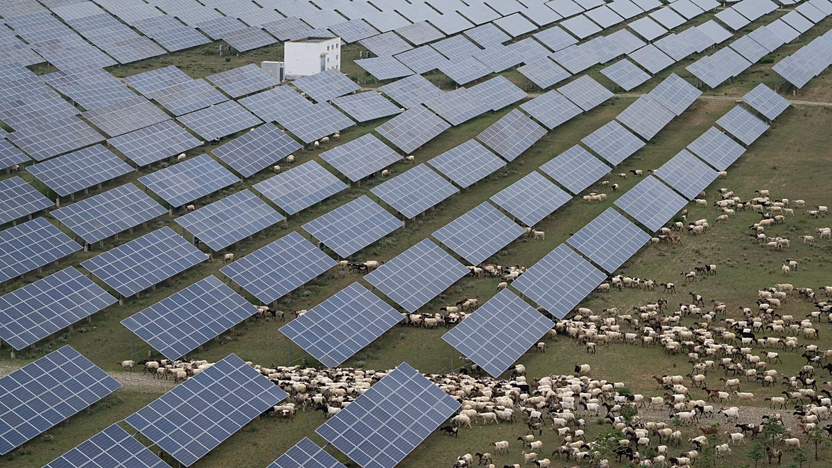 China's state subsidies up to eight times more than OECD's, report says