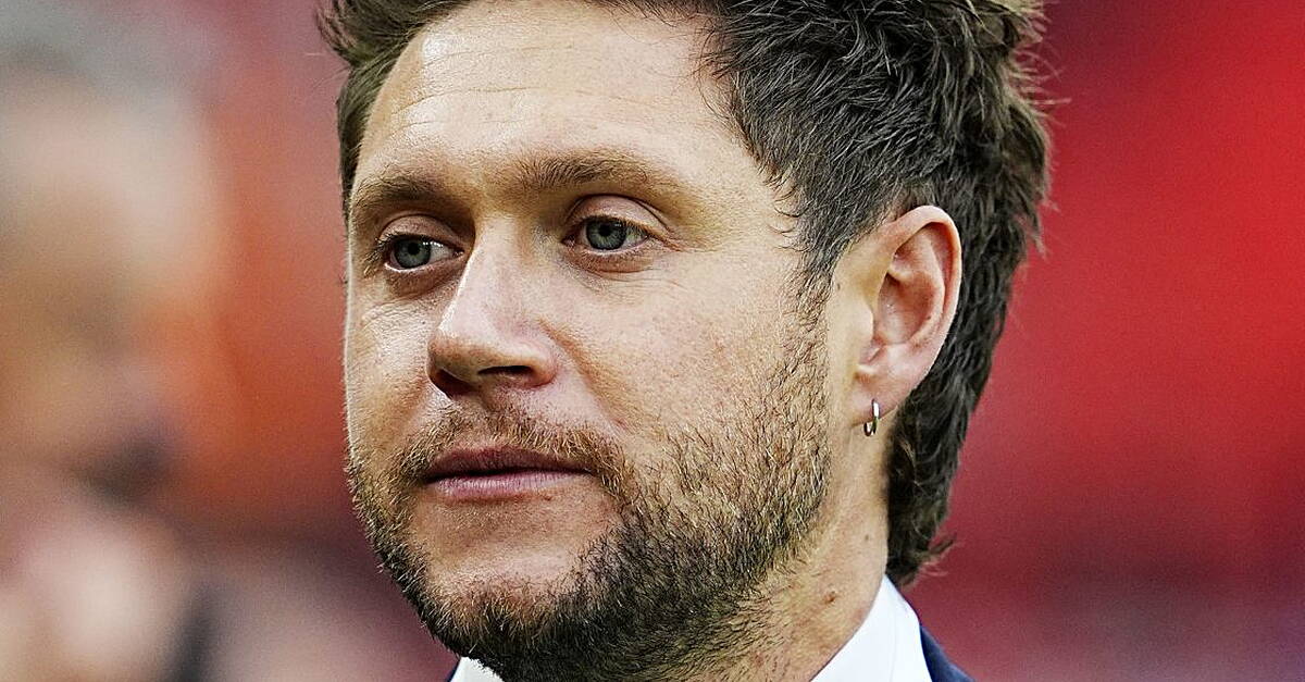 Niall Horan says his last memory with Liam Payne was ‘happy’