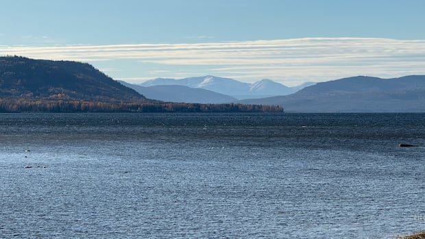 West Moberly First Nations opposed to potential Alberta oil pipeline routes, says chief