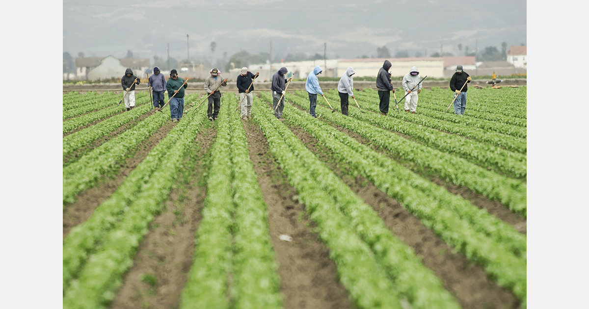 Minimum wages in Australia to rise 5.97% from July 2026
