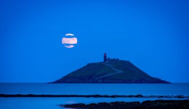 Cork Beo