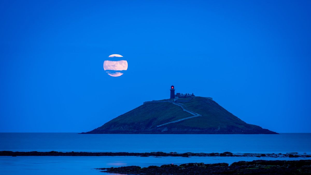 Cork Beo