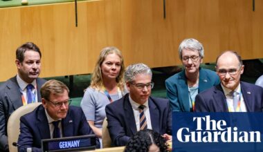 ‘Embarrassing’: pressure on Merz after Germany’s failure to win UN security council seat | Germany