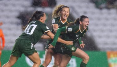 Ireland manager Carla Ward: ‘This group has resilience, character, togetherness’ – The Irish Times