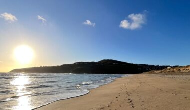 Cork Beo
