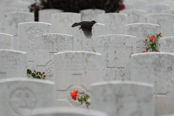 A bird flies over headstones during a burial ceremony for six British soldiers of World War I, at the CWGC's Tyne Cot Cemetery in Zonnebeke, Belgium, Wednesday, June 10, 2026. (AP Photo/Virginia Mayo)