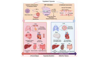 New Framework Aims to Transform High-Altitude Medicine Through Whole-Body Approach to Hypoxia