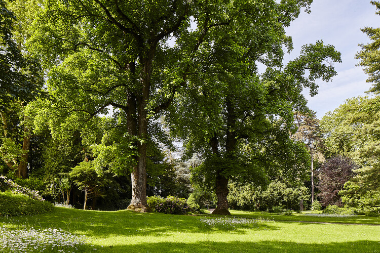 Fondation Beyeler to Open Expanded Campus by Peter Zumthor in 2027 - Image 7 of 7
