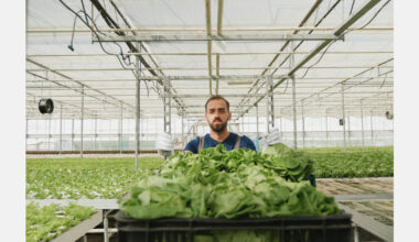 Canadian trade groups welcome national food security strategy