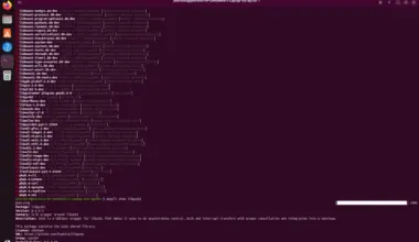 pkgcli on Ubuntu