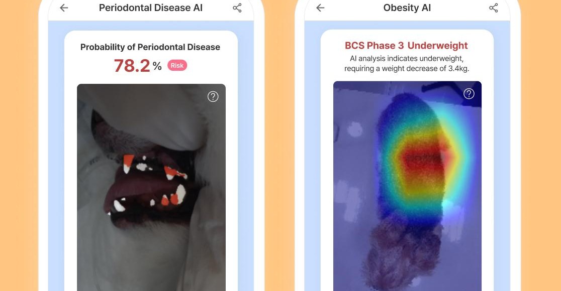 Samsung phones are getting a new feature for checking the health of your pets.