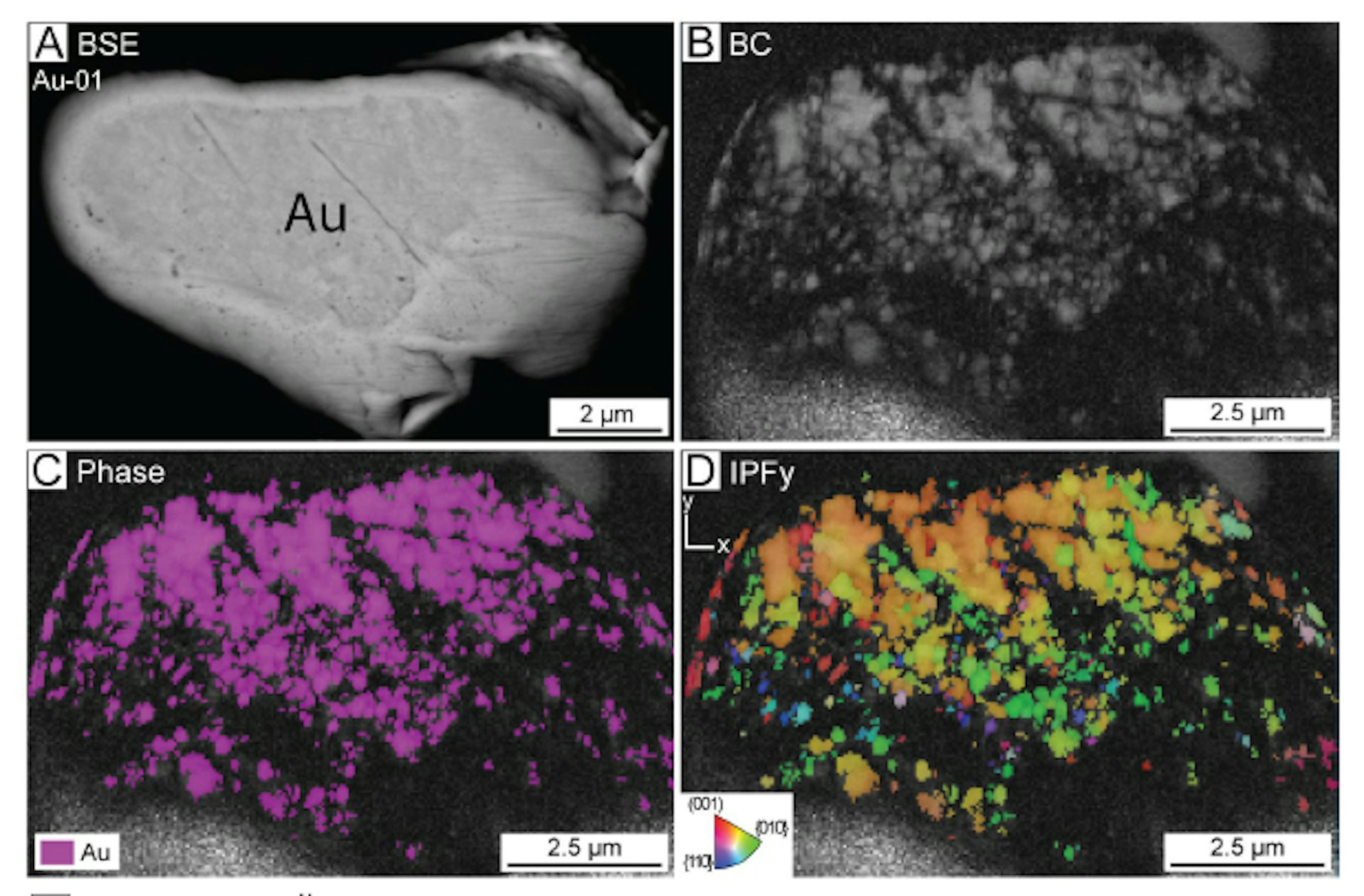 Electron microscopy composite of a gold grain (Au-01) shown in four panels: (A) backscattered electron (BSE) image showing the grain's overall morphology at 2 µm scale; (B) band contrast (BC) map revealing internal grain structure and subgrain boundaries at 2.5 µm scale; (C) phase map with gold grains highlighted in magenta against a dark background at 2.5 µm scale; (D) inverse pole figure map (IPFy) showing crystallographic orientation of gold grains in false color, with an orientation triangle legend in the lower right corner at 2.5 µm scale.