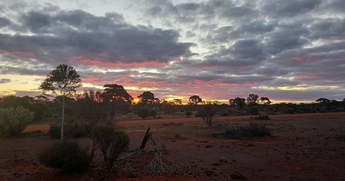 A meteorite impact may have once rained gold on Western Australia