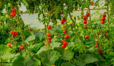 Physical AI Moves into Sustainable Greenhouse Agriculture